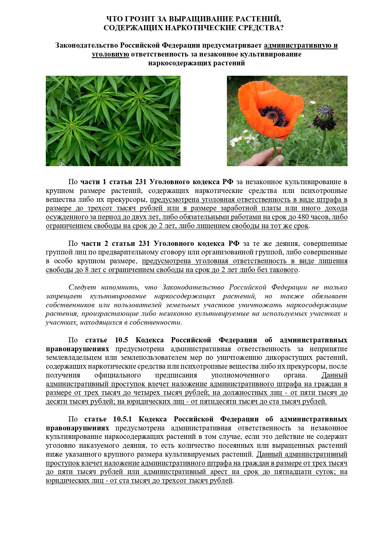231 УК РФ.